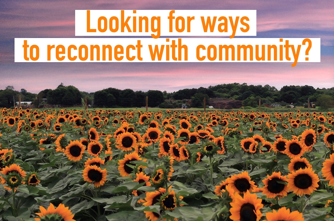Create a Collaborative Community Zine